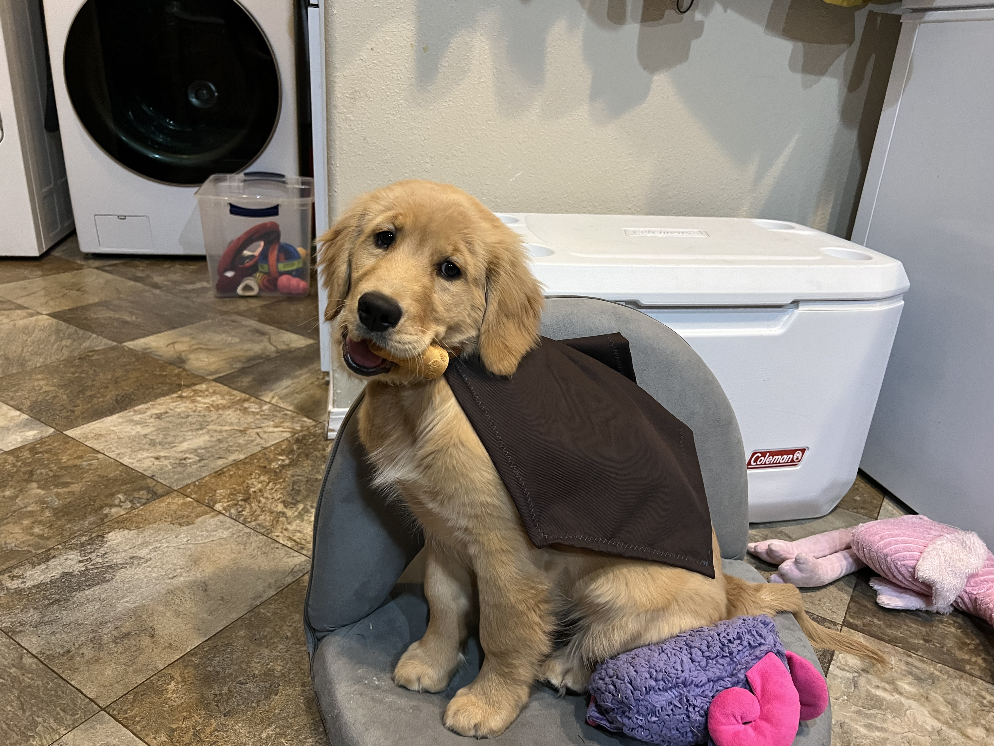 Cordelia sitting on a cushion at home among her toys